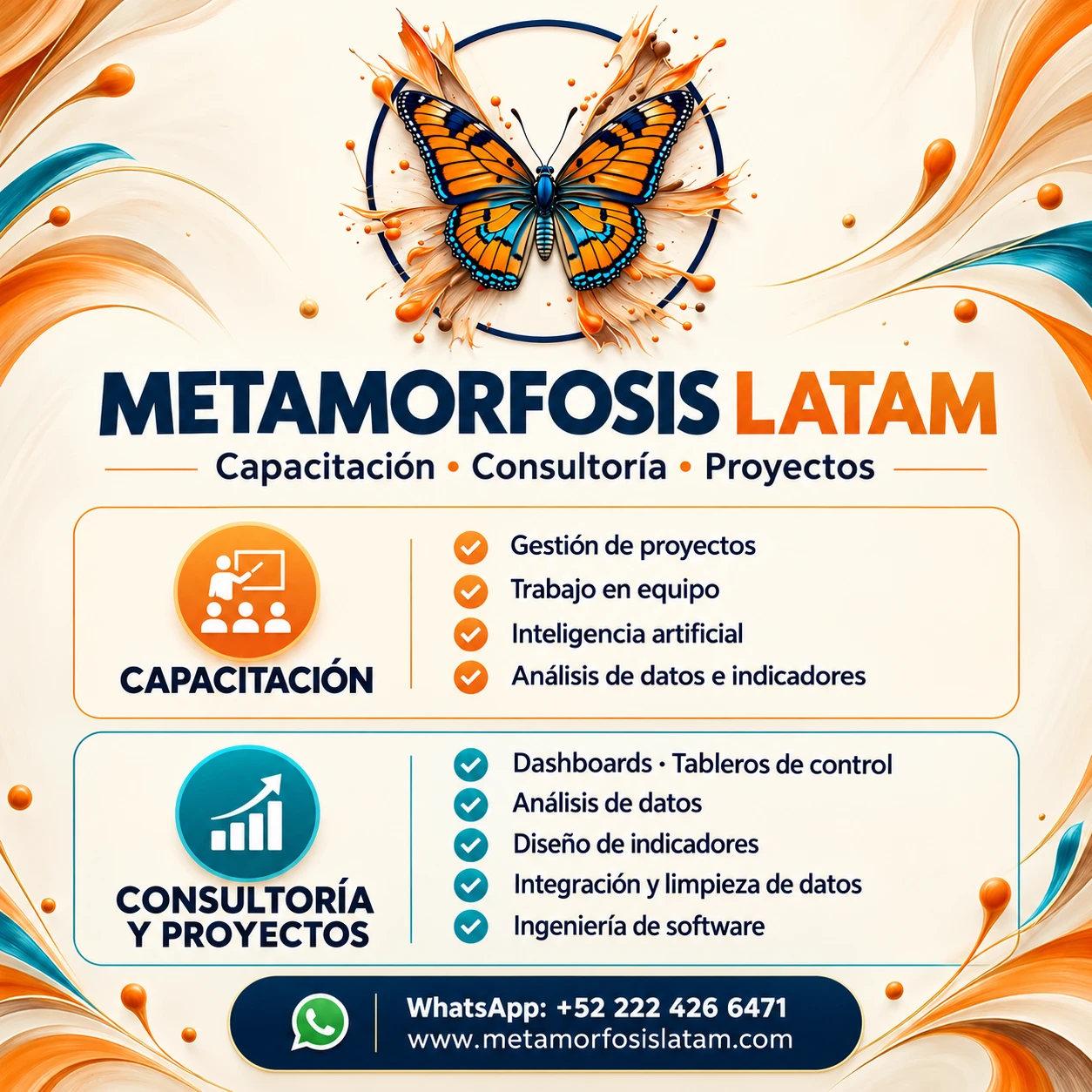 Resumen visual de los servicios de Metamorfosis Latam